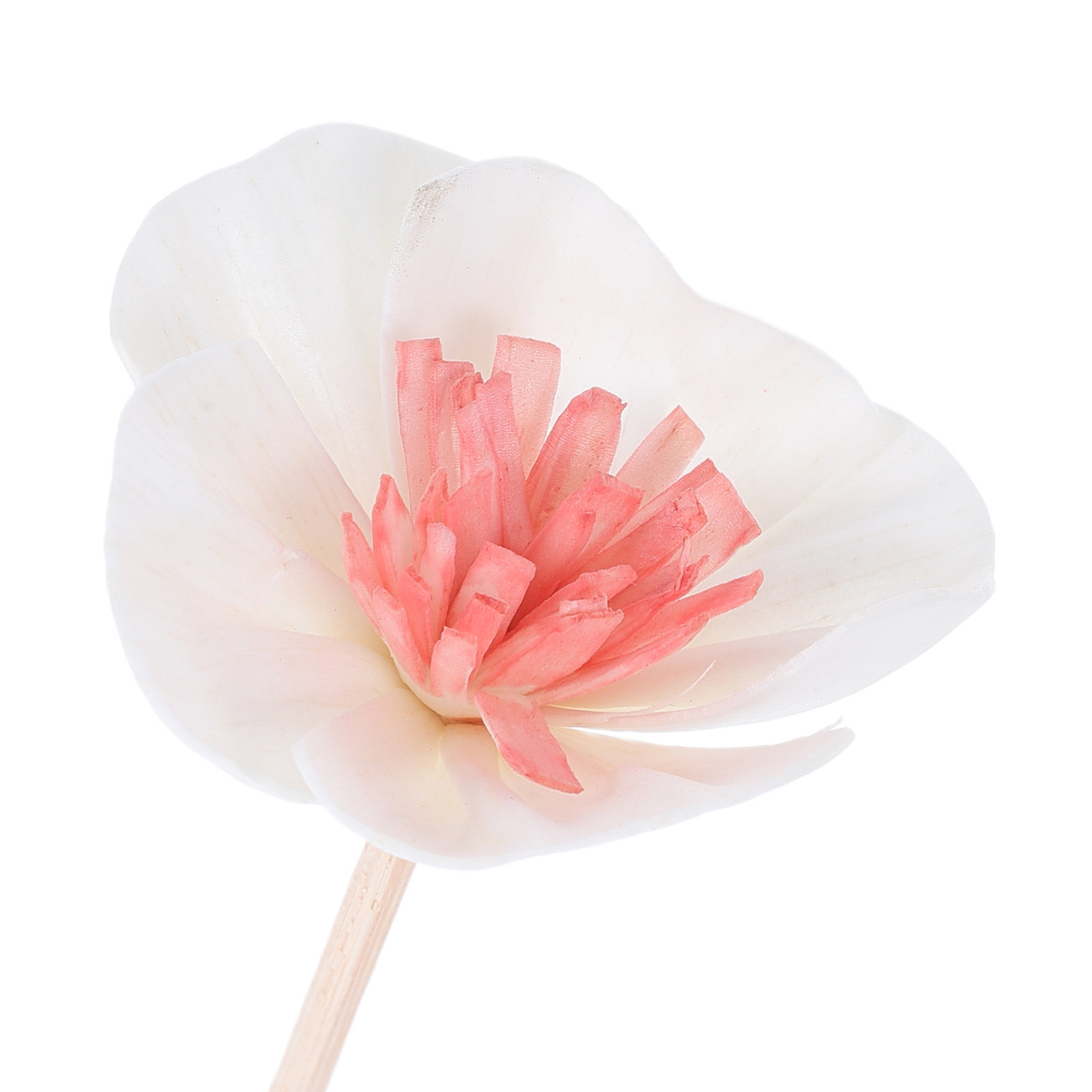 แท่งกระจายกลิ่นน้ำมันหอมระเหย  - Aromatherapy Diffuser บทวิจารณ์และราคา